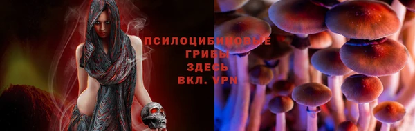 скорость Мегион
