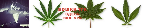 индика Михайловск