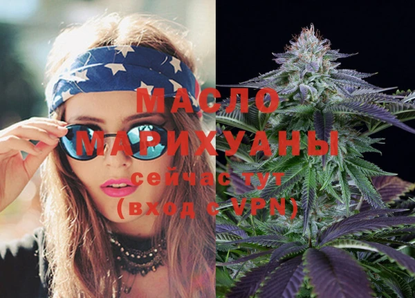 индика Михайловск