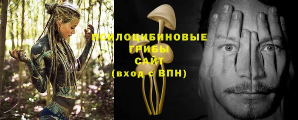 меф Медногорск