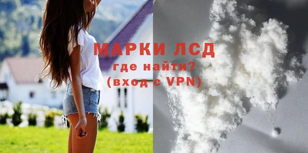 индика Михайловск